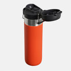 GO QUICK FLIP WATER BOTTLE | 0.70L בקבוק מים